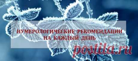 Нумерология. Мастера Чисел