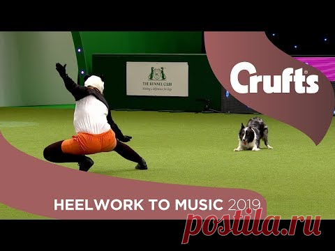 Freestyle International Heelwork to Music - Part 3 | Crufts 2019