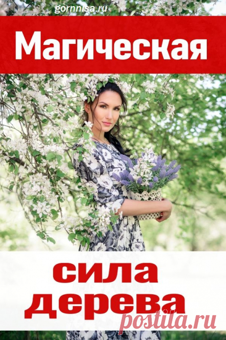 Магическая сила дерева | ГОРНИЦА | Эзотерика