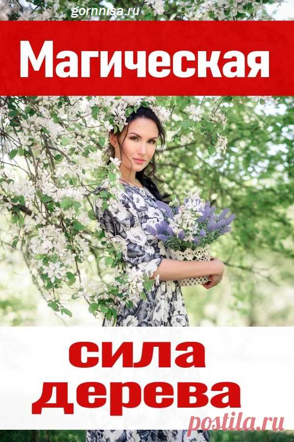 Магическая сила дерева | ГОРНИЦА | Эзотерика