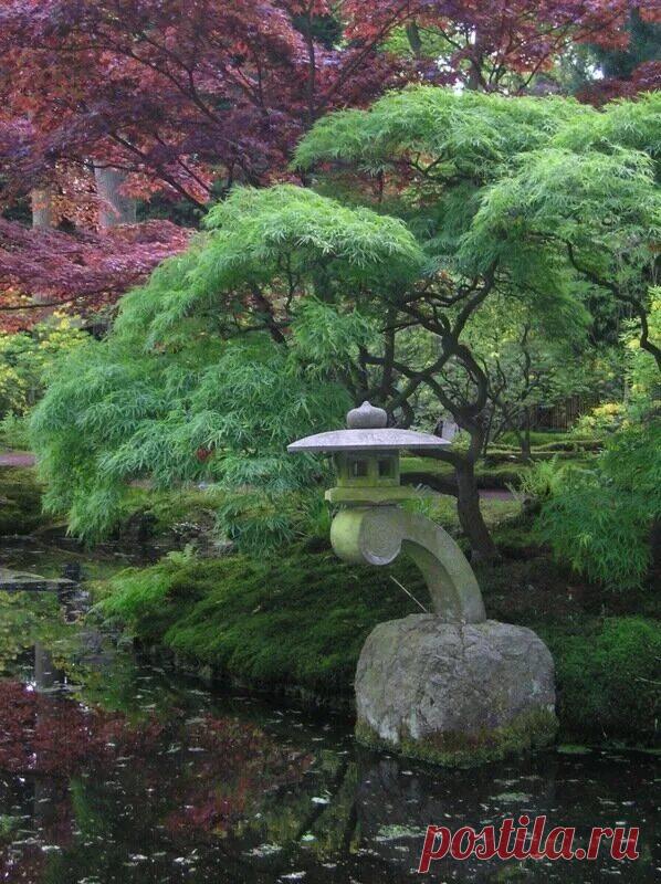 Нидерланды. Гага японский сад: 1 тыс изображений найдено в Яндекс Картинках