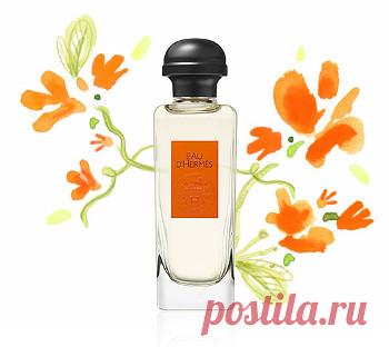 Целый день на природе. Eau D`Hermes от Hermes (Экземпляр из коллекции "les classiques")