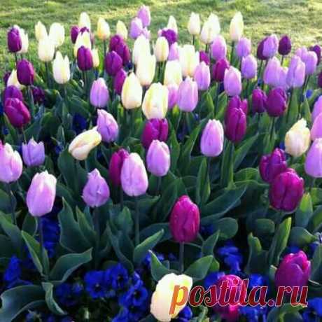 (1) Группы | Facebook