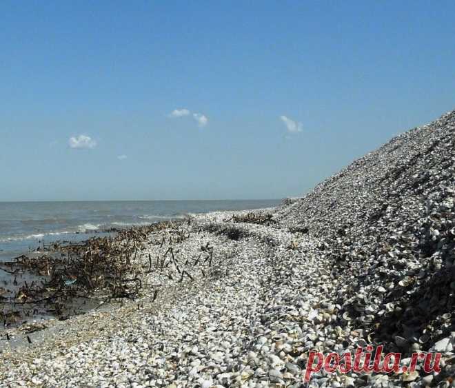 Лето, море, рюкзак - 2 Октября 2015 - Персональный сайт