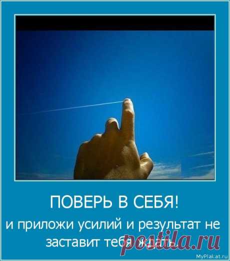 Взахлеб слушаю записи, лекции, и понимаю, что все мои попытки заработка в интернет были поиском именно такого бизнеса. Он упорядочил мои знания, скудный опыт-взял и вывел на стартовую прямую. Вот тебе дорожка, беги, не смей сомневаться, не смей оглядываться назад. Главное не надо лениться, перестань сопротивляться, бери знания и иди к успеху. А самое главное что бизнес в сфере здоровья учит верить в СЕБЯ! Поверишь и всё у тебя получится.
Присоединись к этой уникальной возможности.