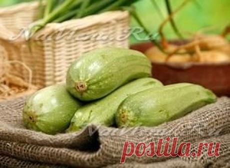 Что приготовить из кабачков быстро и вкусно