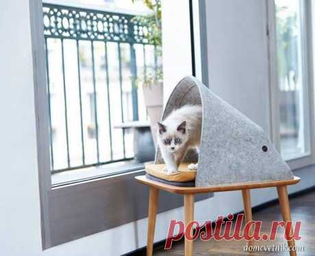 Домики для кошек. 18 оригинальных идей | domcvetnik.com