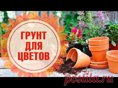 Грунт для цветов 🌺 Как правильно выбрать? 🌺 Как вырастить комнатные растения - обзор Хитсад.