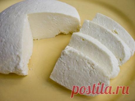 Домашний сыр &quot;ПАНИР&quot; - rastimul.com.ua