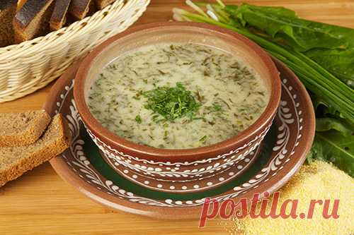 Щавель суп с кукурузной крупы - супов, borşuri, супы, подливы