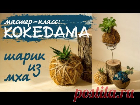 КОКЕДАМА - шарик из мха. Мастер класс: кокедама из кокосового волокна