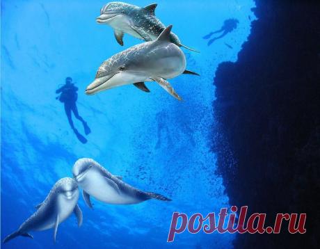 Звуки природы