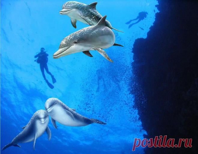 Звуки природы