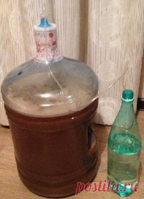 Домашний яблочный уксус по классическому рецепту без добавок