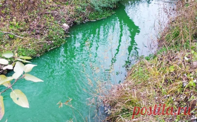 Прокуратура в Перми начала проверку после окрашивания рек в зеленый цвет. Неестественный цвет приобрели четыре местные реки: Егошиха, Данилиха, Ива и Кама. Энергетическая компания «Т Плюс» пояснила, что добавила реагент, который окрашивает жидкость, в воду для теплосетей, чтобы проверить их на утечки