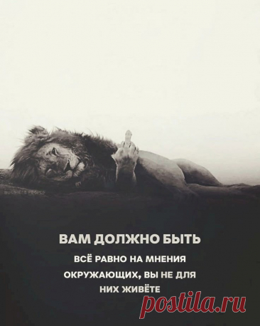 Выпуск №6421 - выпуск анекдотов сайта вокруг смеха