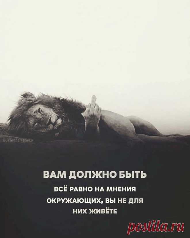 Выпуск №6421 - выпуск анекдотов сайта вокруг смеха