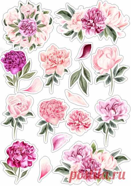 (237) Pinterest