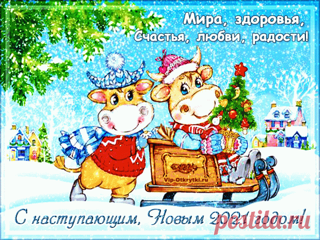 С наступающим, Новым 2021 годом!