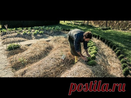 Пермакультура   Агротехника природного земледелия