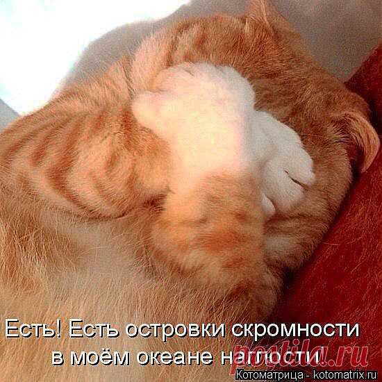 Есть ! Есть островки скромности в моем океане наглости !