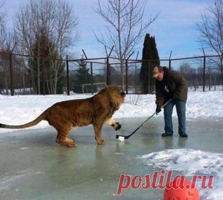 Мой Мир@Mail.Ru