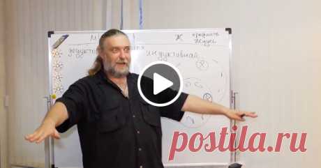 Мужская логика – правильная, но женская – интереснее :)