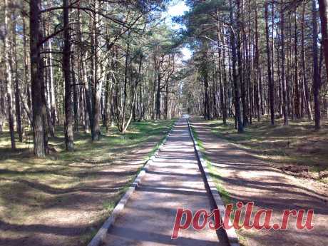 дорга на смтровую площатку