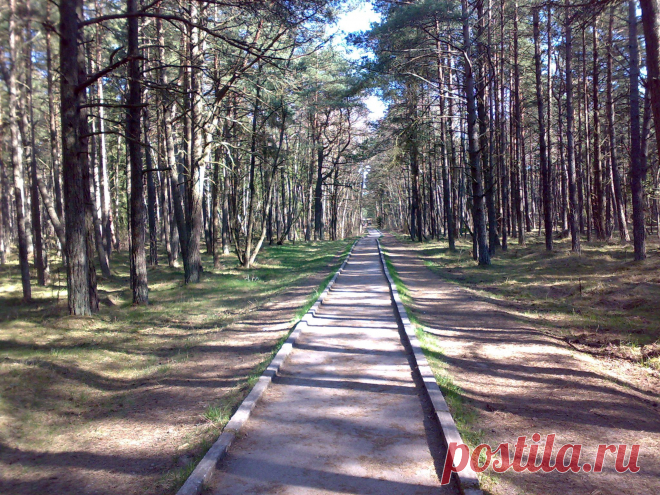 дорга на смтровую площатку