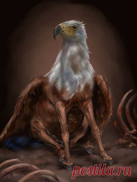 the Hippogryph by Animal75Artist on DeviantArt