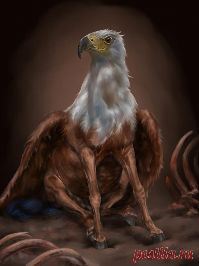 the Hippogryph by Animal75Artist on DeviantArt