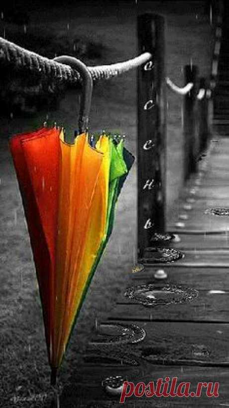 Regenbogen                                                                                                                                                                                 Mehr