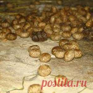 Кроличий навоз как удобрение?