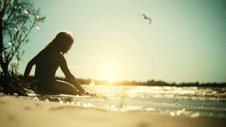 Nature cinemagraphs and gifs