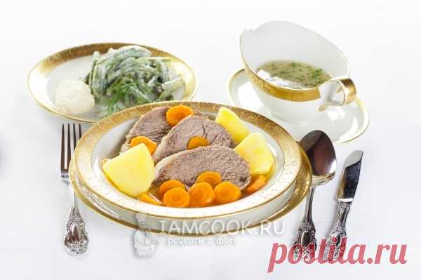 Тафельшпиц