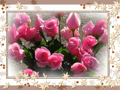 ღ~Ж♥е♥н♥е♥ч♥к♥@ ~ ღ - Бремен, Германия на Мой Мир@Mail.ru