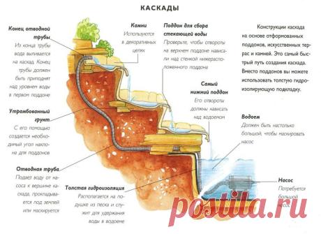 Ландшафтный дизайн. Озеленение и благоустройство территории и ландшафтов.