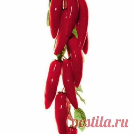 ПРЕДМЕТЫ, КОТОРЫЕ ОБЯЗАТЕЛЬНО ДОЛЖНЫ НАХОДИТЬСЯ В ДОМЕ...