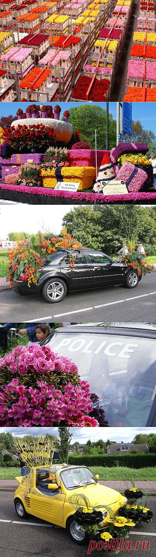 Парад цветов в Аалсмеере (Голландия) - Туристический Клуб