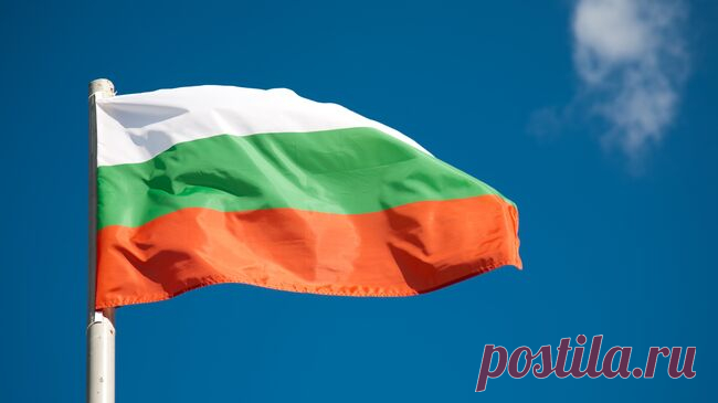 Посол рассказала о снижении товарооборота России и Болгарии в 2024 году