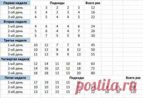 Еще в школе на уроках физкультуры вы познакомились с такими базовыми упражнениями, как отжимания. В современном спортивном мире они завоевали заслуженную