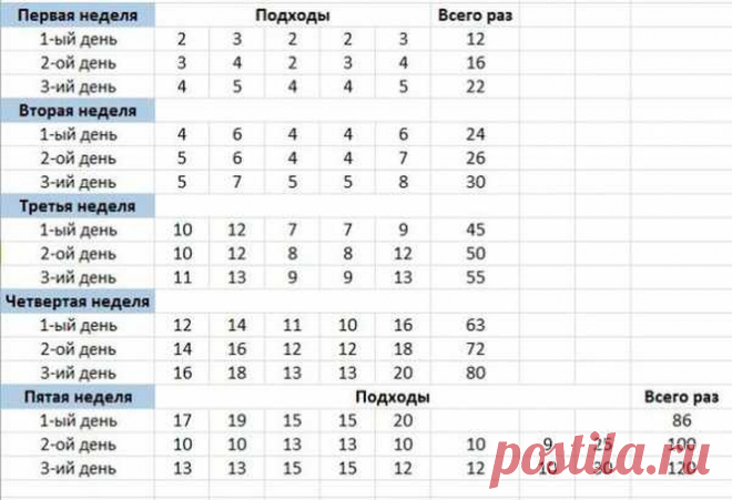 Еще в школе на уроках физкультуры вы познакомились с такими базовыми упражнениями, как отжимания. В современном спортивном мире они завоевали заслуженную