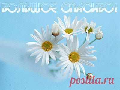 Домашние хитрости