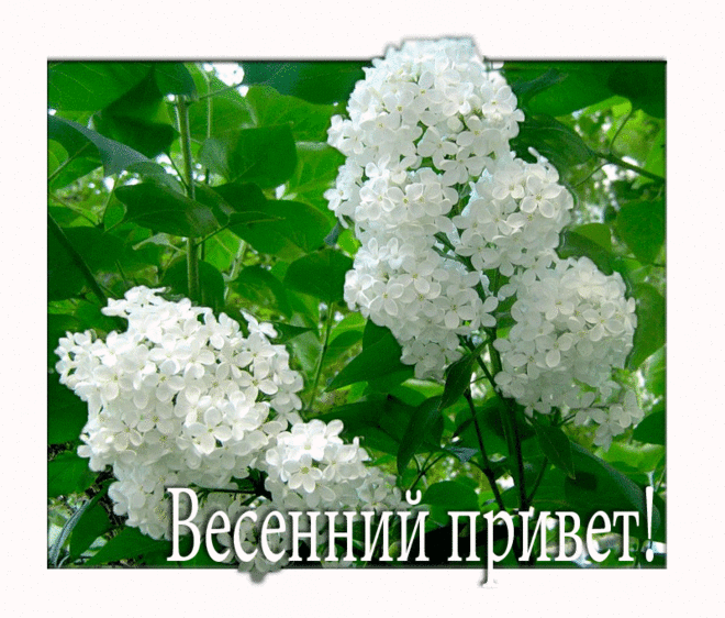 С новой весной вас!
С каплями первыми!
Мирного неба вам, солнца лучистого,
Счастья заветного, самого чистого!