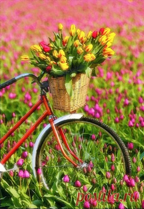 @Беседка – Google+
