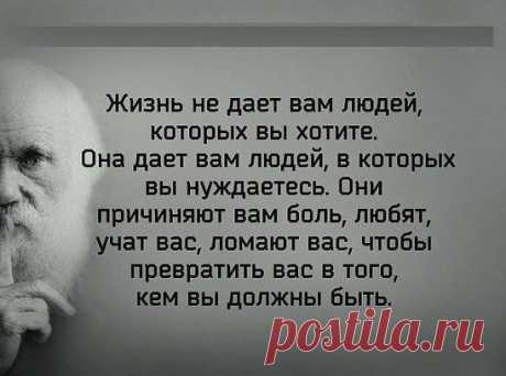 Проще быть несчастным и изображать из себя жертву обстоятельств, чем найти в себе силы признать себя жертвой собственной лени, глупости и зависти