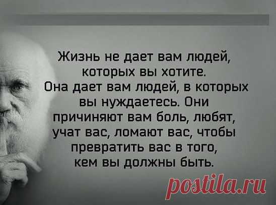 Проще быть несчастным и изображать из себя жертву обстоятельств, чем найти в себе силы признать себя жертвой собственной лени, глупости и зависти