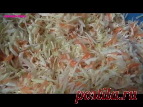 Как квасить капусту Квасим капусту просто Квашеная капуста