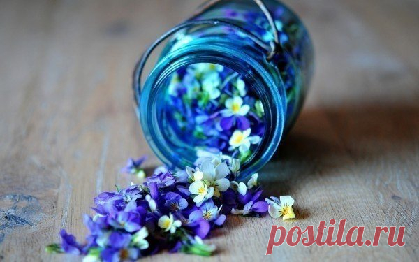 Как создать потрясающий цветочный запах в комнате?.