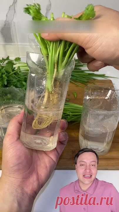 aprende este truco para ahorrar en casa